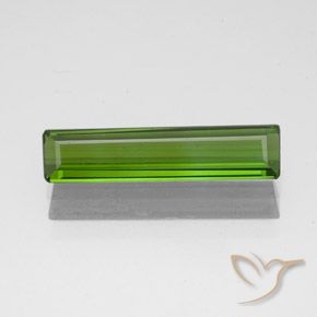 1.24ct طبيعي أخضر الطحالب البحرية تورمالين, قص الزمرد, قليلا جدا