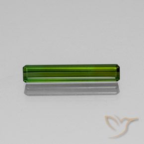 2.82ct طبيعي أخضر الغابات تورمالين, قص الزمرد, SI