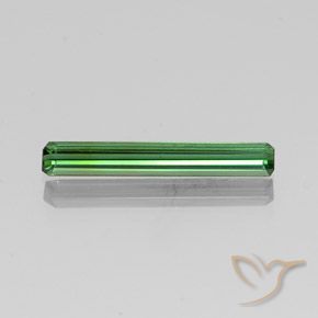 1.53ct طبيعي أخضر تورمالين, قص الزمرد, VVS-VS