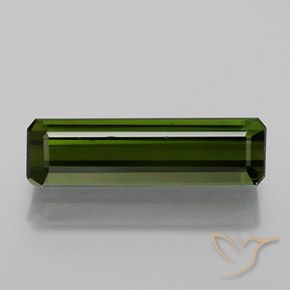 1.62ct طبيعي أخضر الغابات تورمالين, قص الزمرد, قليلا جدا