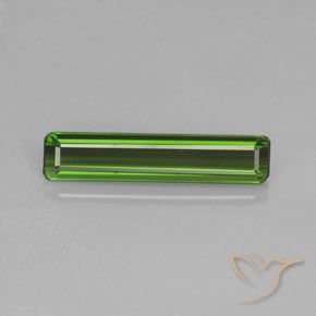 1.48ct طبيعي أخضر الغابات تورمالين, قص الزمرد, قليلا جدا