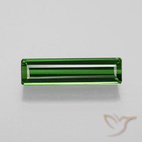 1.60ct طبيعي أخضر الغابات تورمالين, قص الزمرد, VVS