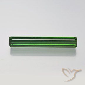 1.54ct طبيعي أخضر الغابات تورمالين, قص الزمرد, VVS-VS