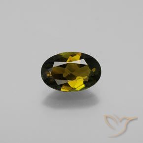 1.27ct طبيعي بنى مخضر ذهبى تورمالين, بيضوي, VVS