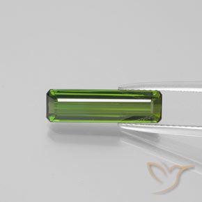 2.38ct طبيعي أخضر الغابات تورمالين, قص الزمرد, قليلا جدا