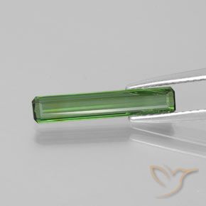 1.15ct طبيعي أخضر متوسط تورمالين, قص الزمرد, VVS-VS