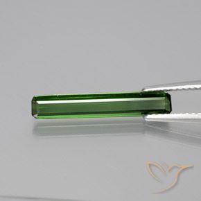1.67ct طبيعي أخضر غامق تورمالين, قص الزمرد, VVS-VS
