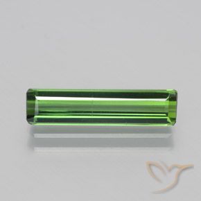 1.58ct طبيعي أخضر الغابات تورمالين, قص الزمرد, قليلا جدا