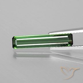 1.50ct طبيعي أخضر الغابة رائع تورمالين, ثمانى / قصة زمرد, قليلا جدا, Photo A