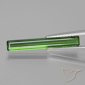 1.53ct طبيعي أخضر الغابات تورمالين, قص الزمرد, قليلا جدا