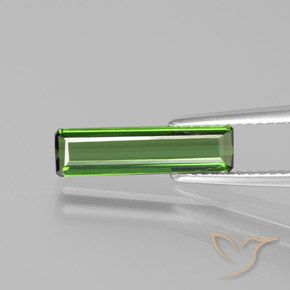 1.43ct طبيعي أخضر متوسط تورمالين, قص الزمرد, قليلا جدا
