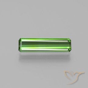 1.24ct طبيعي أخضر متوسط تورمالين, قص الزمرد, قليلا جدا