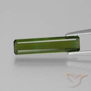 1.24ct طبيعي أخضر غامق تورمالين, قص الزمرد, VVS