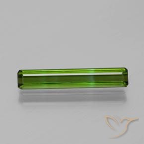 1.33ct طبيعي أخضر الغابات تورمالين, قص الزمرد, VVS-VS