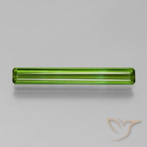 1.52ct طبيعي أخضر متوسط تورمالين, قص الزمرد, VVS-VS
