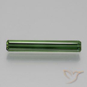 1.26ct طبيعي أخضر الغابات تورمالين, قص الزمرد, قليلا جدا