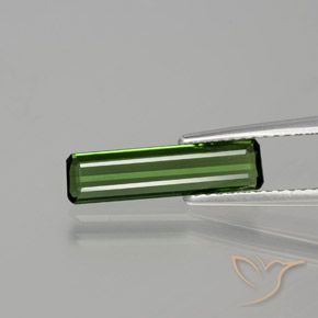 1.15ct طبيعي أخضر الغابات تورمالين, قص الزمرد, قليلا جدا