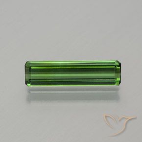 1.17ct طبيعي أخضر الغابات تورمالين, قص الزمرد, قليلا جدا