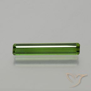 1.33ct طبيعي أخضر الغابات تورمالين, قص الزمرد, VVS-VS