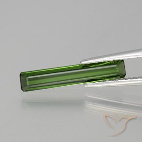 1.35ct طبيعي أخضر الغابات تورمالين, قص الزمرد, VVS-VS