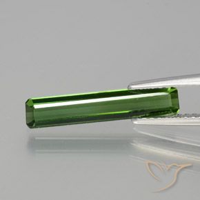 1.45ct طبيعي أخضر غامق تورمالين, ثمانى / قصة زمرد, VVS-VS, Photo A