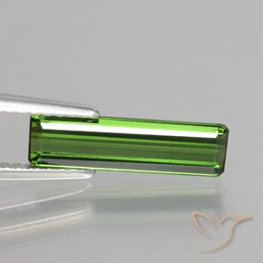 1.39ct طبيعي أخضر ترابى تورمالين, قص الزمرد, VVS