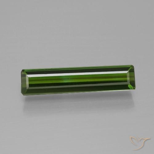 1.52ct طبيعي أخضر الغابات تورمالين, قص الزمرد, قليلا جدا