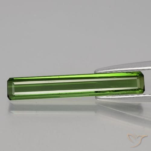 1.47ct طبيعي أخضر الغابات تورمالين, قص الزمرد, قليلا جدا