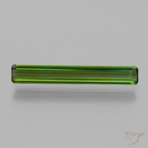 1.41ct طبيعي أخضر الغابات تورمالين, قص الزمرد, VVS-VS