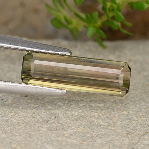 تورمالين ثنائي اللون طبيعي، قص الزمرد، 1.72 قيراط، قليلا جدا