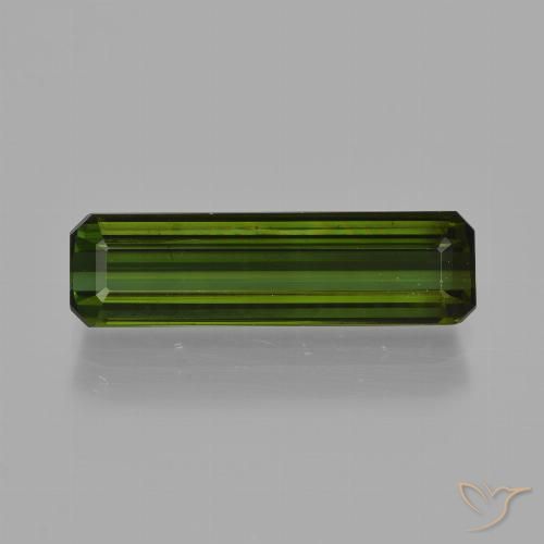 2.77ct طبيعي أخضر الغابات تورمالين, قص الزمرد, قليلا جدا