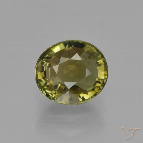 1.34ct طبيعي أخضر ترابى دافئ تورمالين, بيضوي, VVS