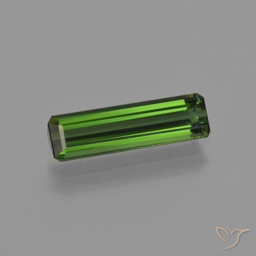 1.51ct طبيعي الأخضر الغامق تورمالين, قص الزمرد, VVS-VS