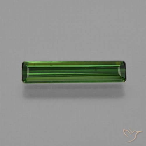 1.35ct طبيعي أخضر الغابات تورمالين, قص الزمرد, قليلا جدا