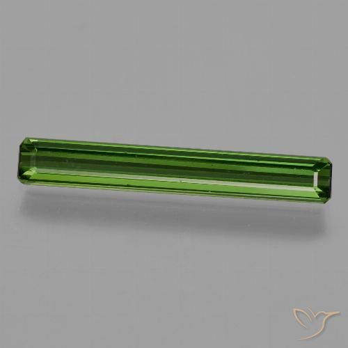 1.33ct طبيعي أخضر الغابات تورمالين, قص الزمرد, قليلا جدا