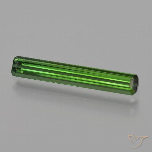 1.60ct طبيعي أخضر الغابات تورمالين, قص الزمرد, قليلا جدا
