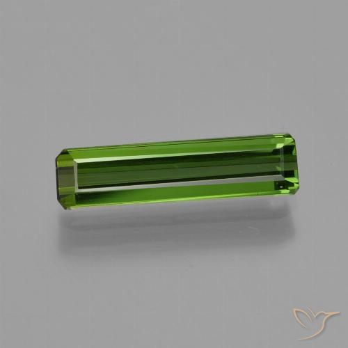 1.11ct طبيعي أخضر الغابات تورمالين, قص الزمرد, VVS-VS