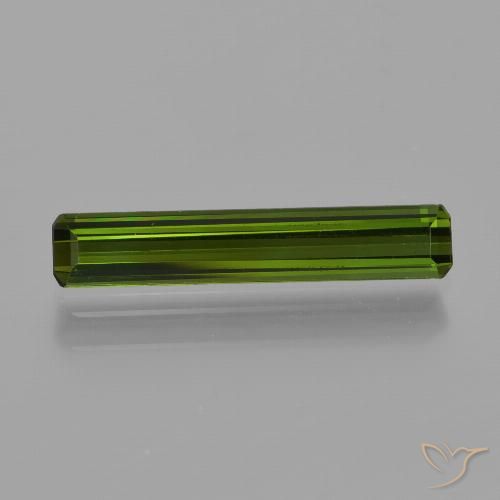 1.25ct طبيعي أخضر الغابات تورمالين, قص الزمرد, قليلا جدا