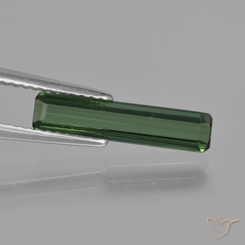 1.24ct طبيعي أخضر الغابات تورمالين, قص الزمرد, قليلا جدا