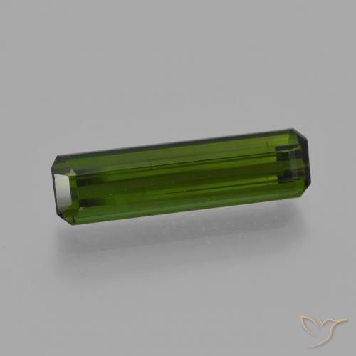 1.80ct طبيعي أخضر الغابات تورمالين, قص الزمرد, قليلا جدا