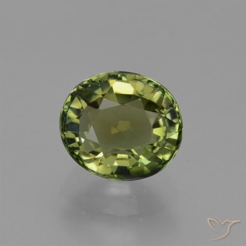 1.17ct طبيعي أخضر دافئ تورمالين, بيضوي, VVS