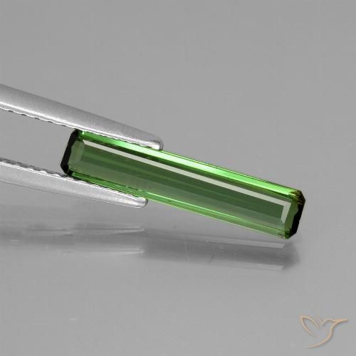 1.01ct طبيعي الأخضر الغامق تورمالين, قص الزمرد, قليلا جدا