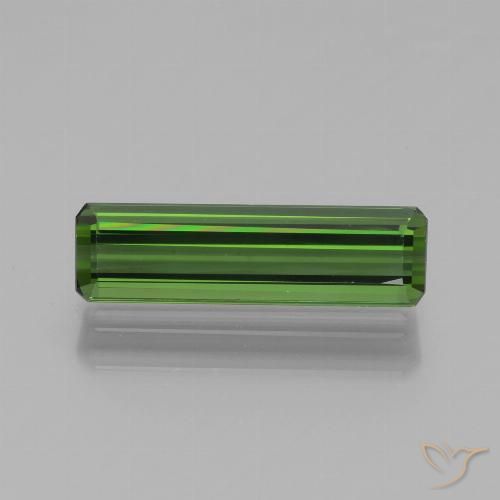1.39ct طبيعي أخضر الغابات تورمالين, قص الزمرد, VVS