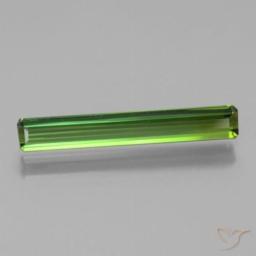 1.70ct طبيعي أخضر الغابات تورمالين, قص الزمرد, VVS