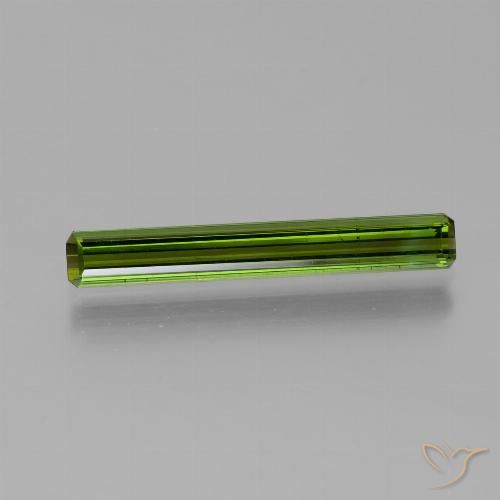 1.69ct طبيعي أخضر الطحالب البحرية تورمالين, قص الزمرد, VVS-VS