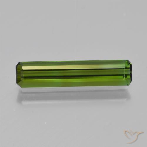 1.08ct طبيعي أخضر الغابات تورمالين, قص الزمرد, VVS-VS