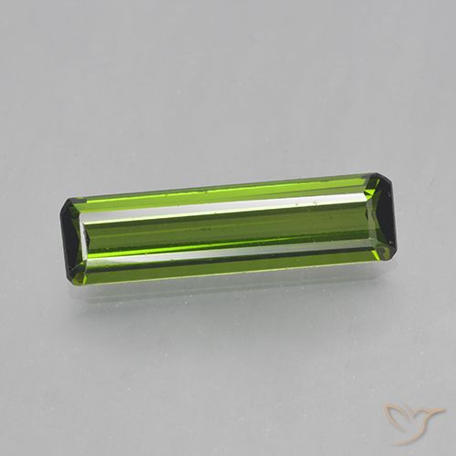 1.45ct طبيعي أخضر الطحالب البحرية تورمالين, قص الزمرد, VVS-VS