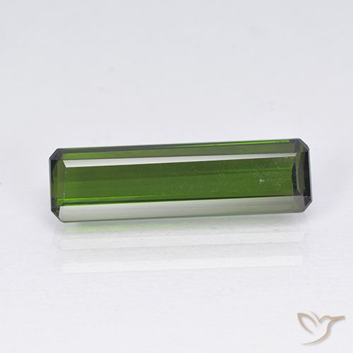 2.55ct طبيعي أخضر الطحالب البحرية تورمالين, قص الزمرد, VVS-VS