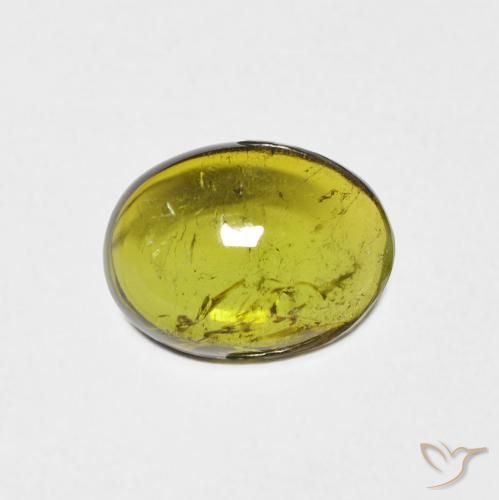 1.34ct طبيعي أخضر الغابات تورمالين, بيضوي, شفاف