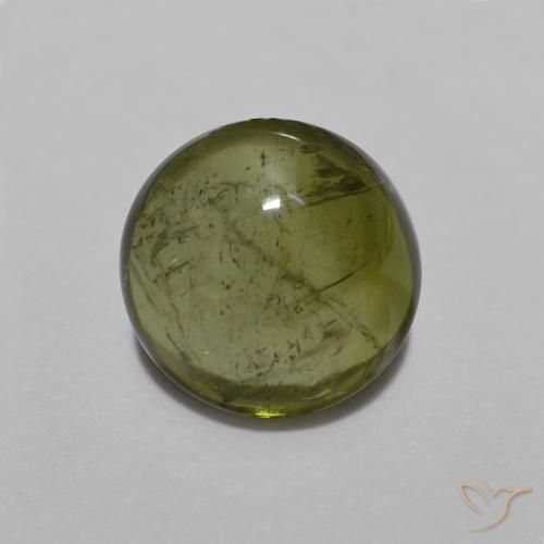1.53ct طبيعي أخضر الغابات تورمالين, دائري, شفاف